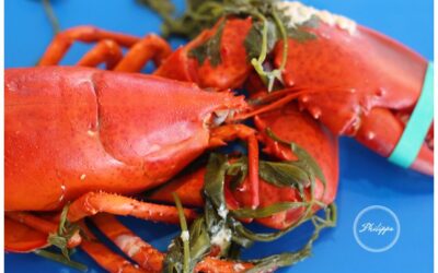 Recipe|Lobster Bisque